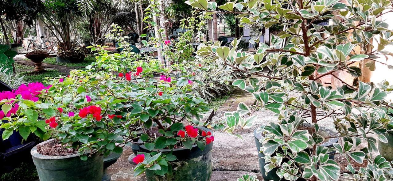 Hiriketiya Cinnamon Garden Dikwella Sur Exterior foto