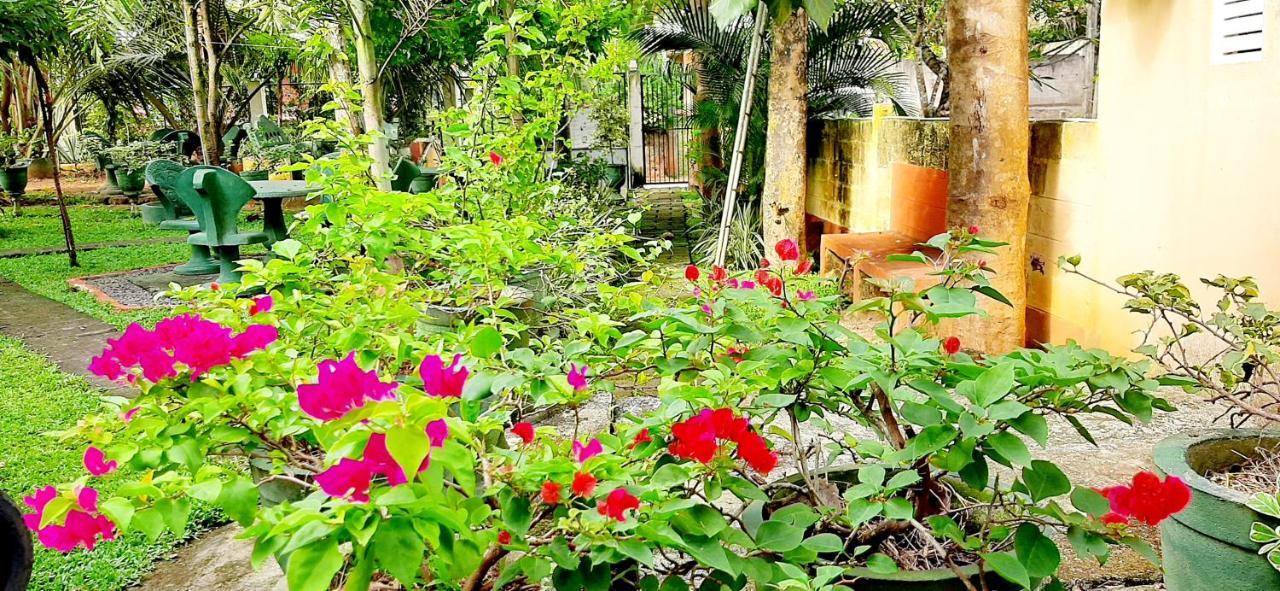 Hiriketiya Cinnamon Garden Dikwella Sur Exterior foto
