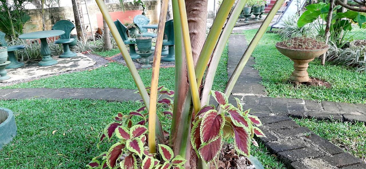 Hiriketiya Cinnamon Garden Dikwella Sur Exterior foto