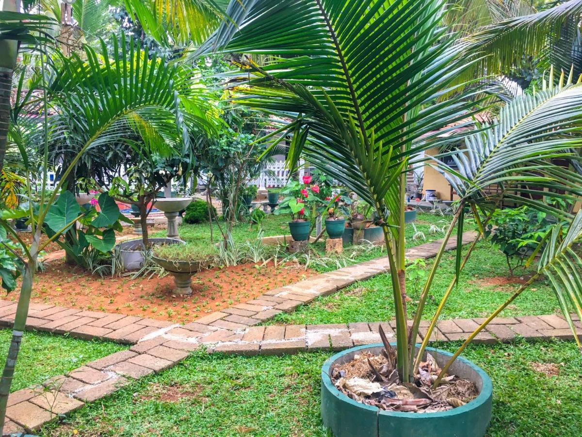Hiriketiya Cinnamon Garden Dikwella Sur Exterior foto